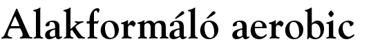 alakformalo_aerobic
